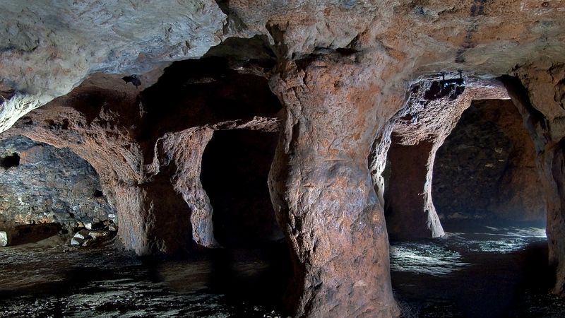 A real must for Doctor Who fans. 