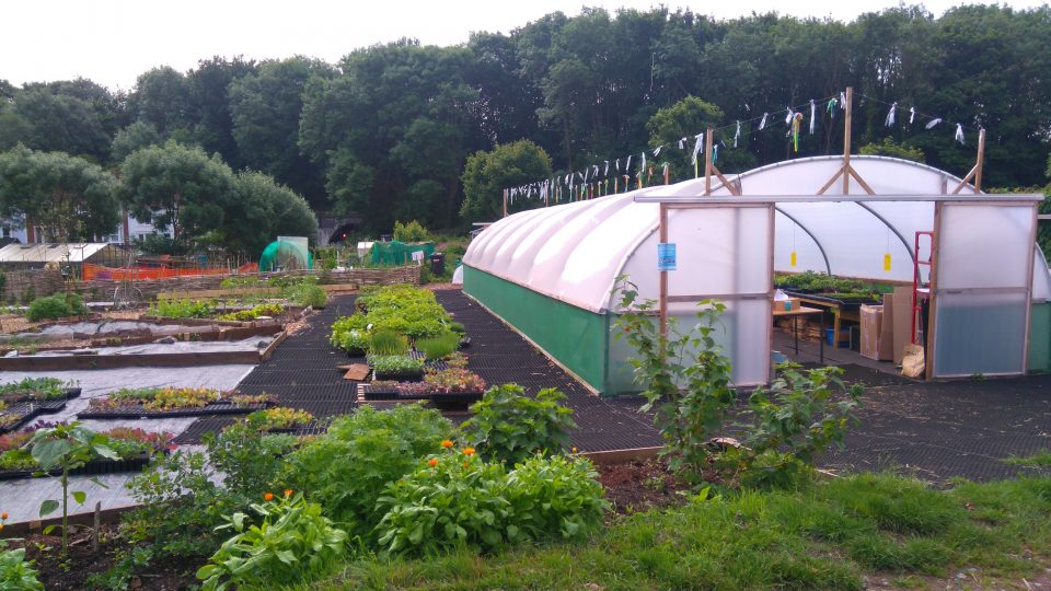 Propagation Place
