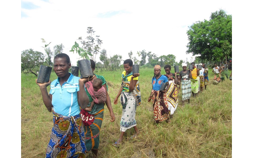 Beira is one of Bristol's twin cities