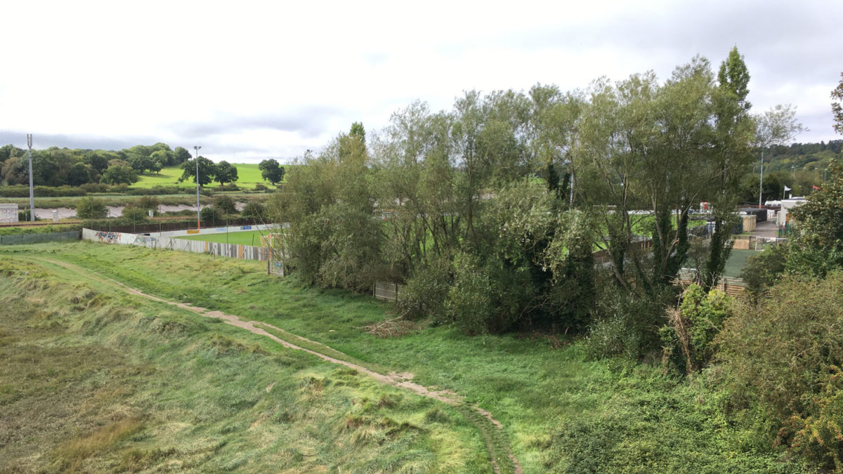 willow trees at sea mills harbour