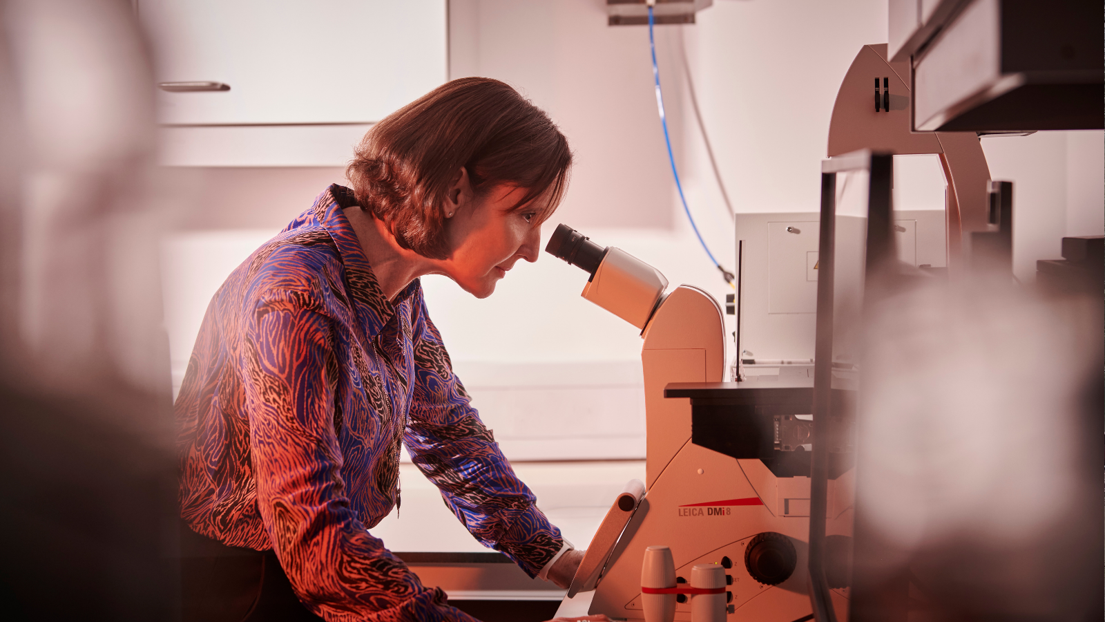 Scientist inspecting using a microscope in bristol