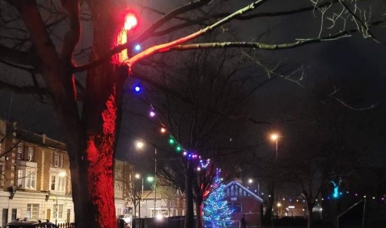 Lights between trees in Avonmouth park
