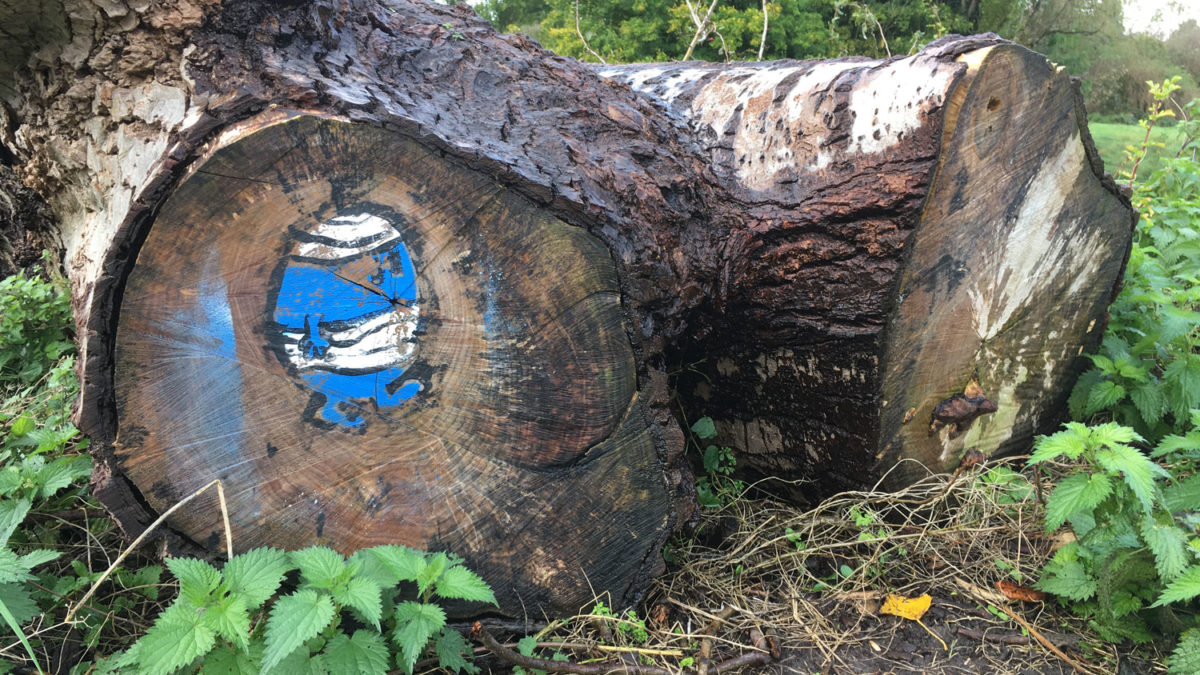 A painting of Mr Bump on the end of a log