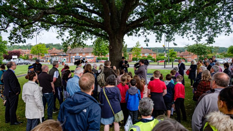 group of people gather under a large oak tree