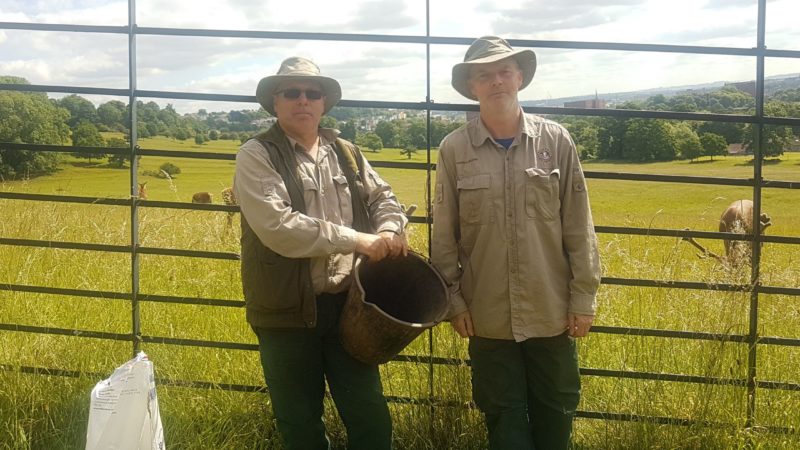 Two men stand in front of a high fence. Behind them are deer. 