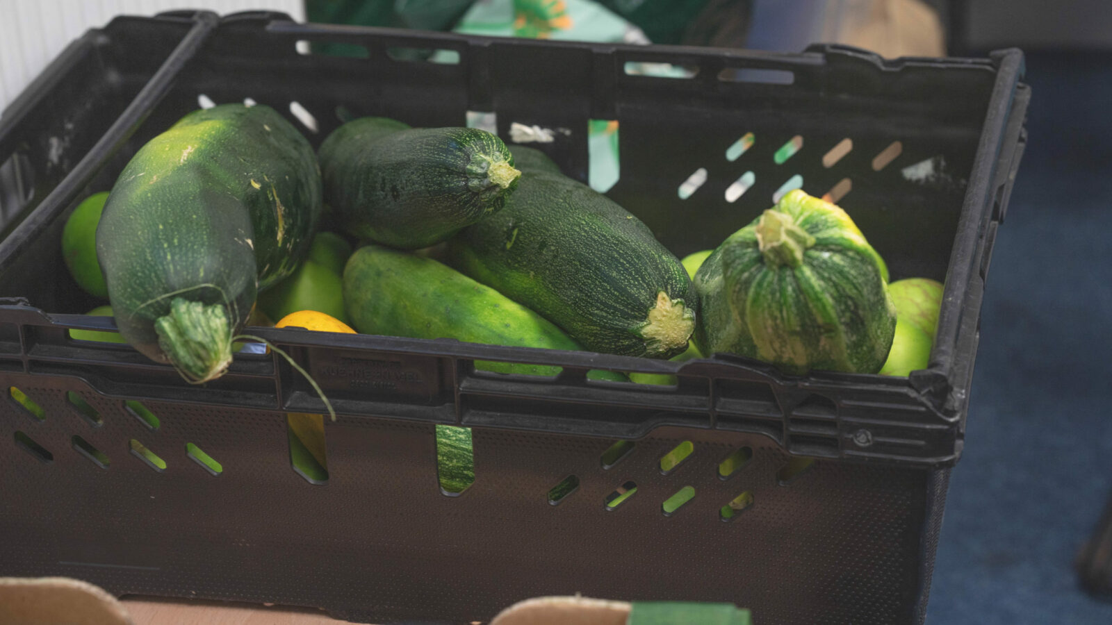 A black plastic box of marrows sits on a table. The box is full and the marrows look fresh and green.