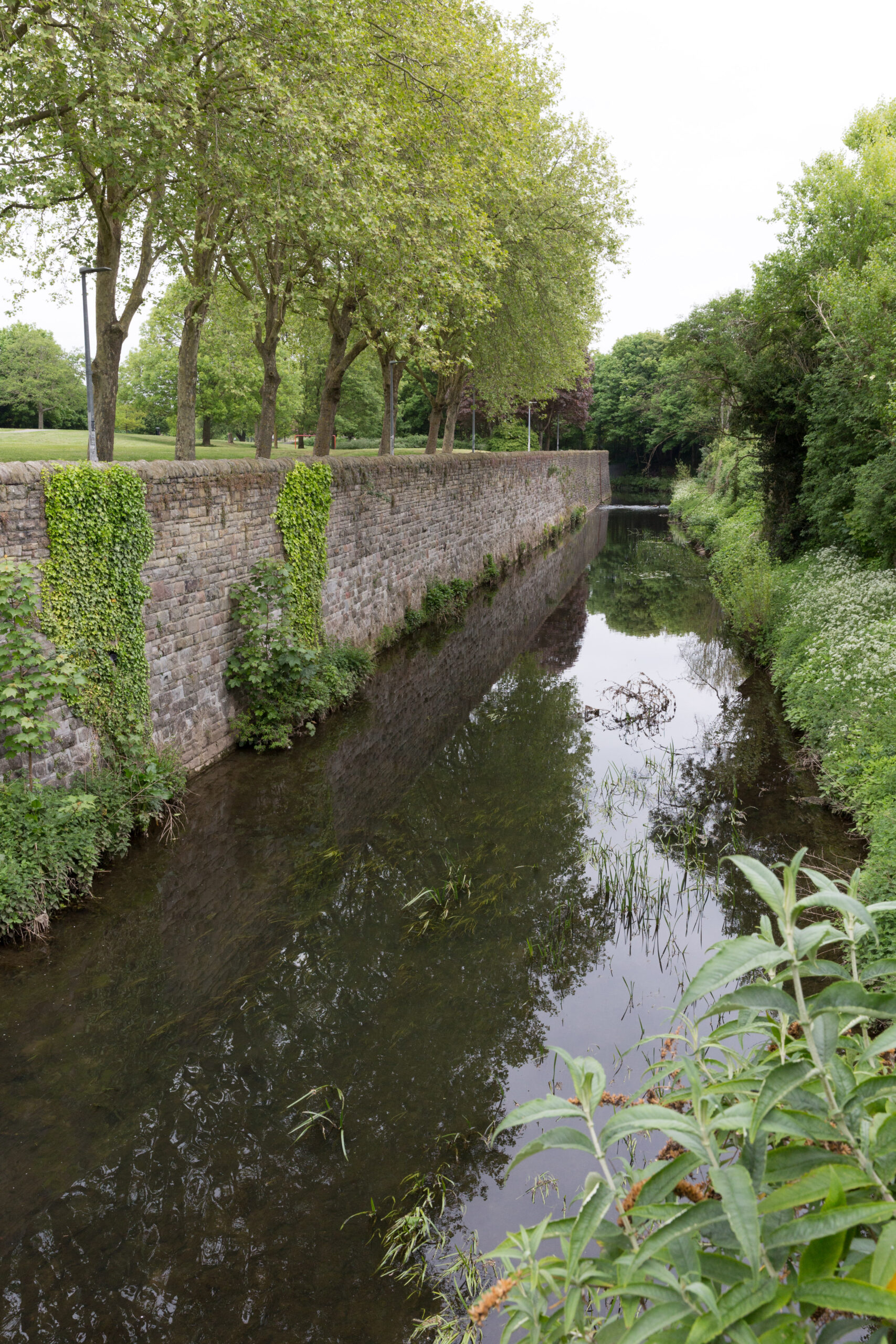 The River Frome with a wall on the left and greenery on the right