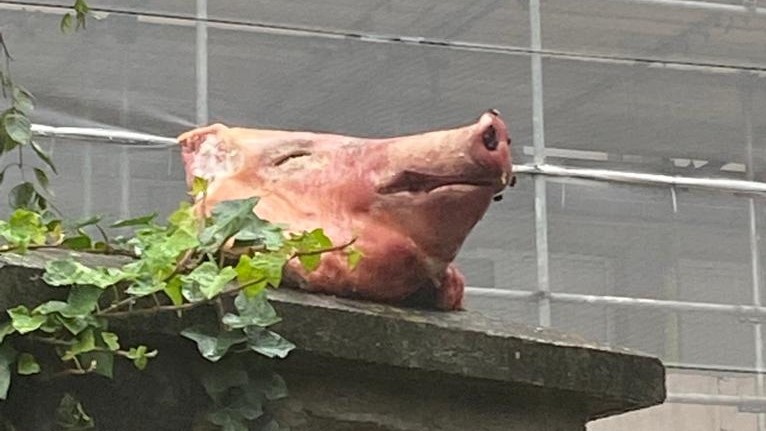 A pig's head on a pillar