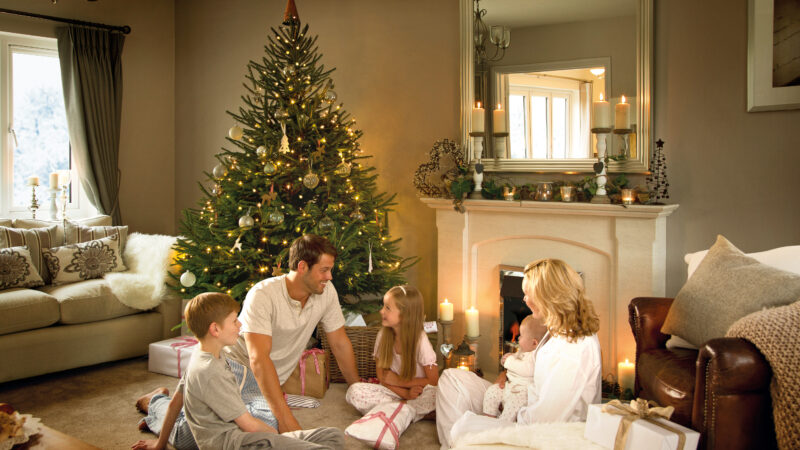 Front room with Christmas tree