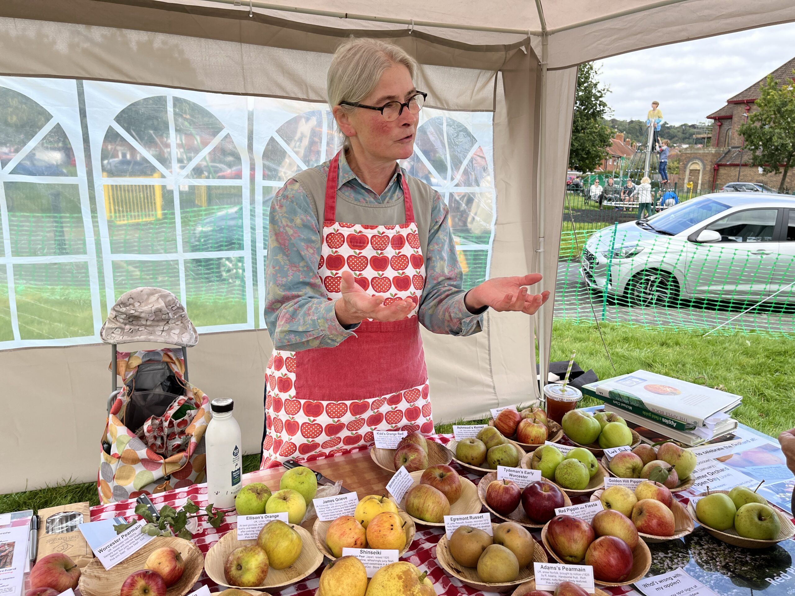 A woman stands behind a table full of apples