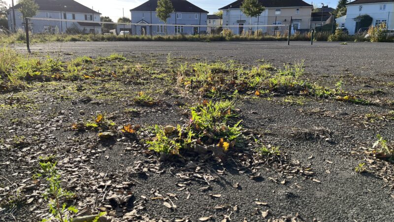 A tarmac tennis court with weeds busting through the surface