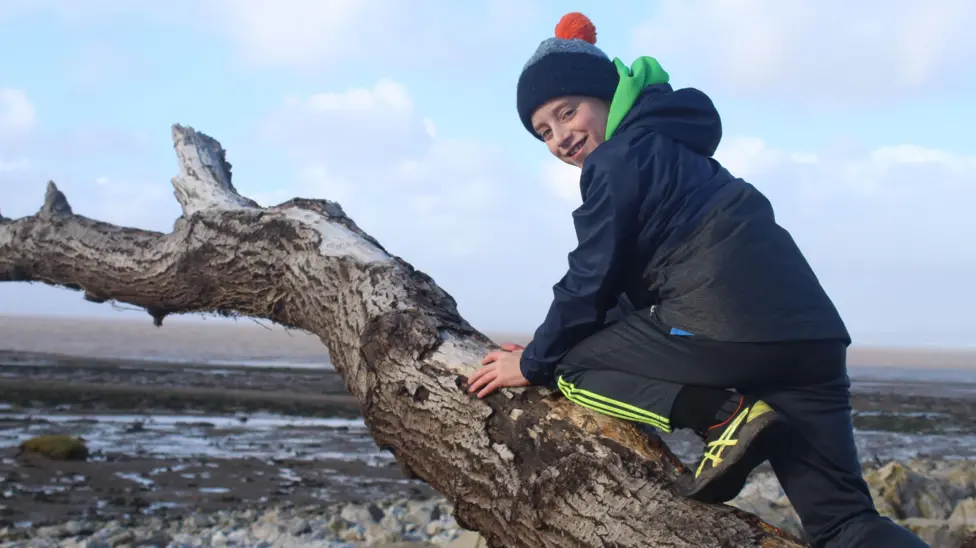 A young boy climbs atop a branch by the beach 