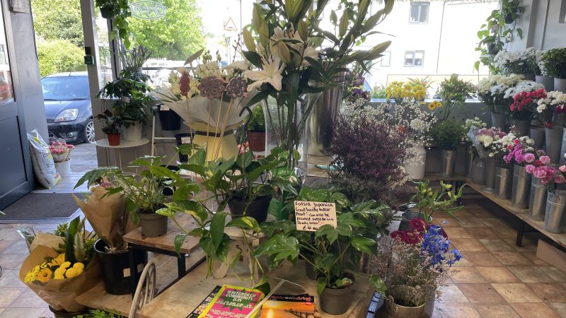 Flower displays and natural light at the front of Don Gay’s Florist – photo Alex Cavanagh