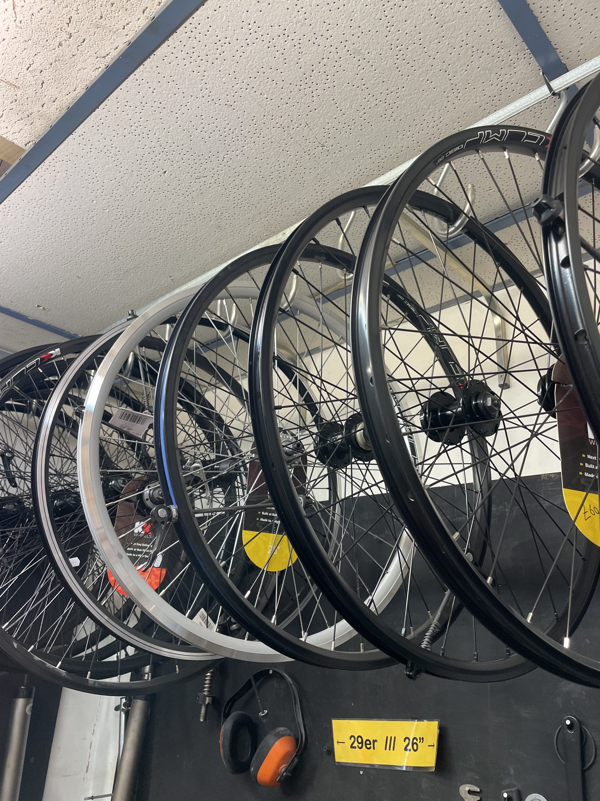 a row of bicycle tyres suspended from the ceiling