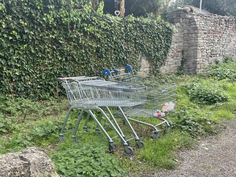 Trolleys ditched in Netham Park - image: Joss Thomas