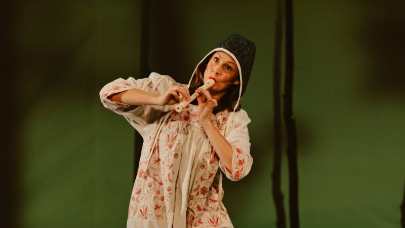 Review: Bog Witch, Bristol Old Vic – ‘A tour de force of eco-scepticism, laced with gags and bathos’
