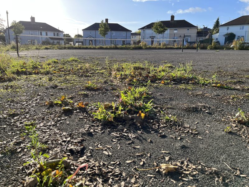 derelict tennis court at Sea Mills with weeds growing through grey tarmac