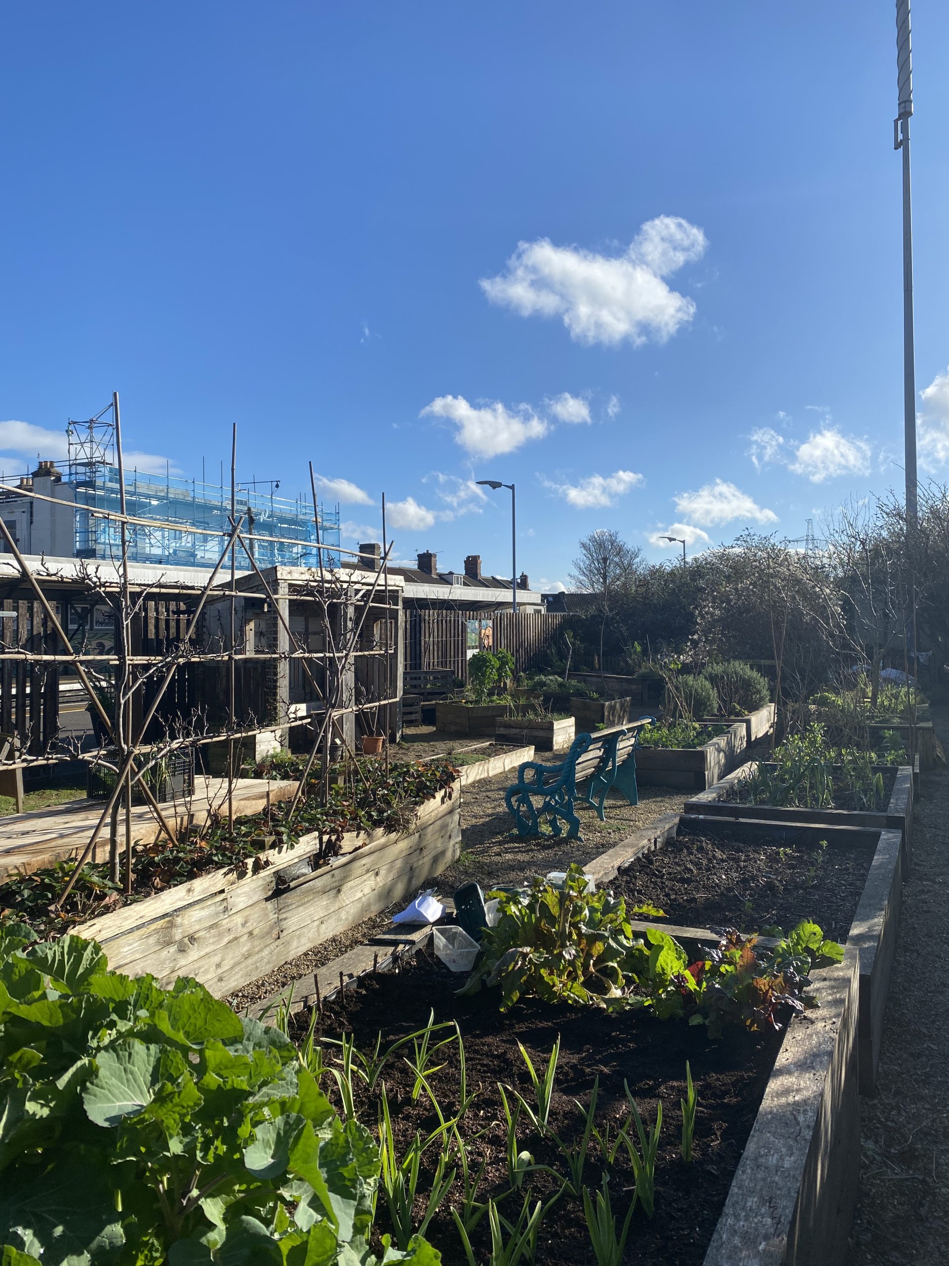 The secret garden tucked away in a train station