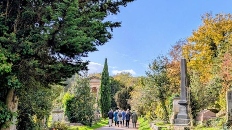 Walks, tours, yoga and folkcraft: summer events at Arnos Vale