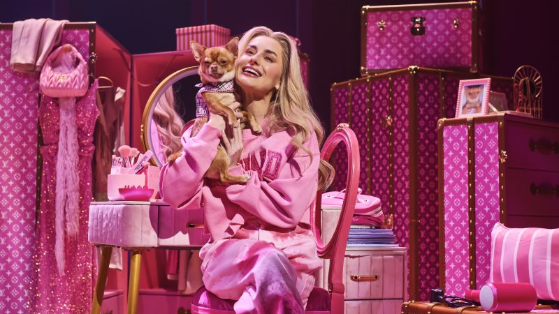 Review: Legally Blonde, Bristol Hippodrome – ‘Brimming with charm, energy and deliriously good fun’