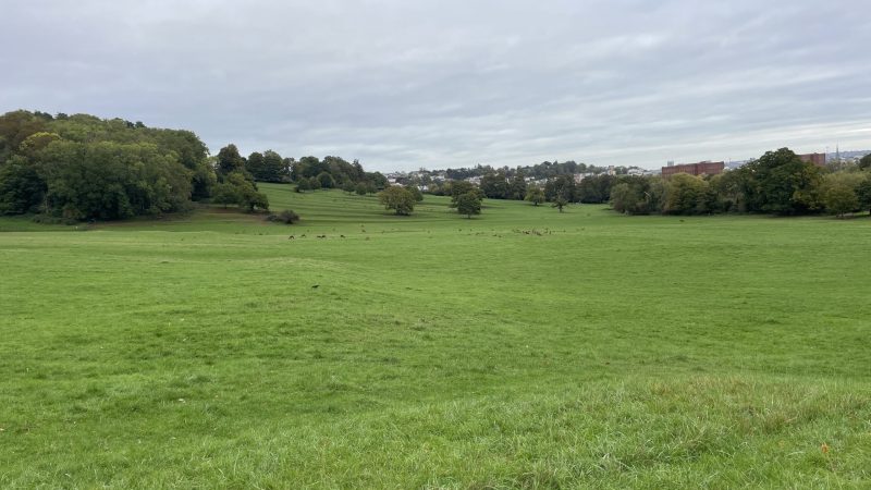 Two parks most affected by controversial new licences