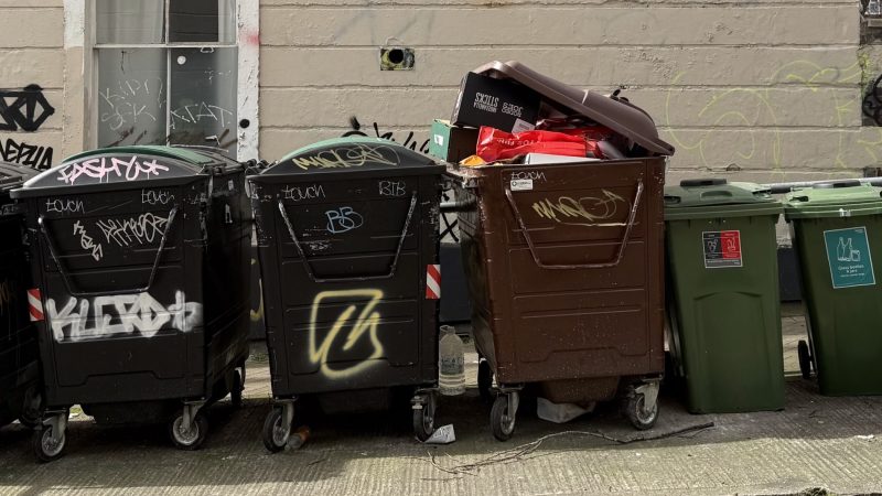 Person discovered in bin rescued from rubbish truck