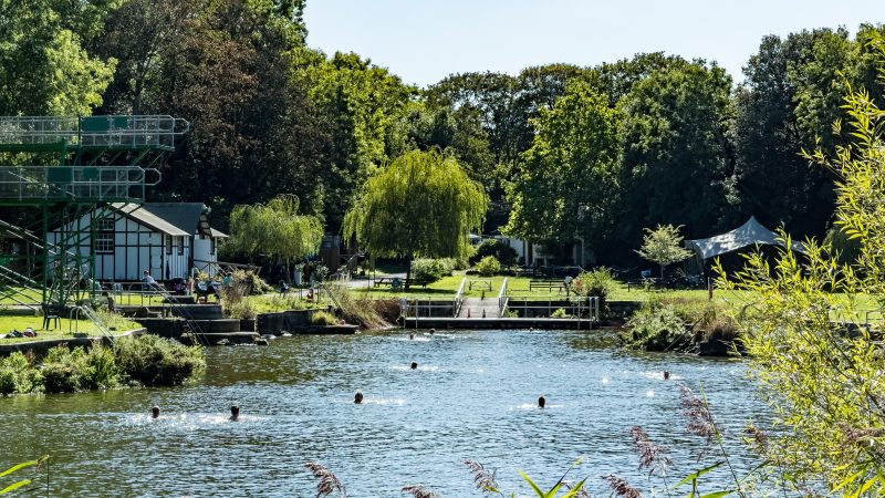 Henleaze Lake launch photography competition in memory of former trustee Mark Thompson