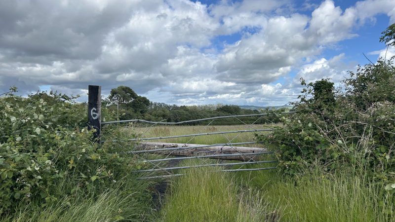 New town could be built between Bristol and Keynsham