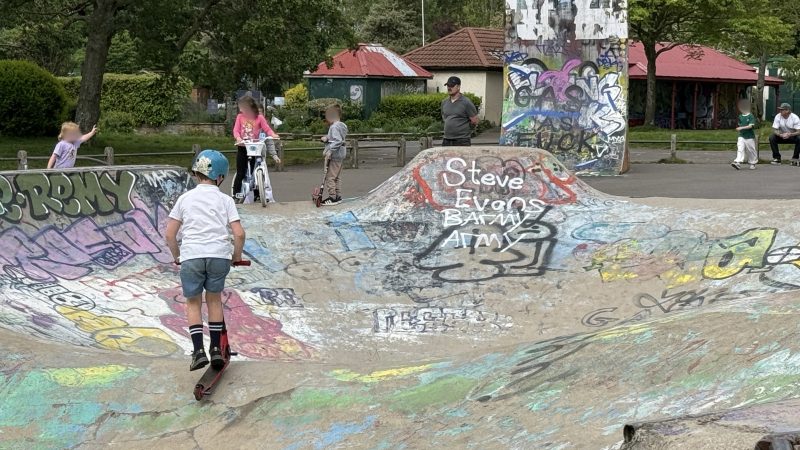 Well-used wheel park could close for ‘up to three years’