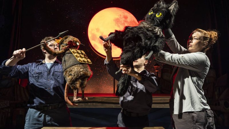 Toto The Ninja Cat fly kicks onto the Redgrave Theatre stage