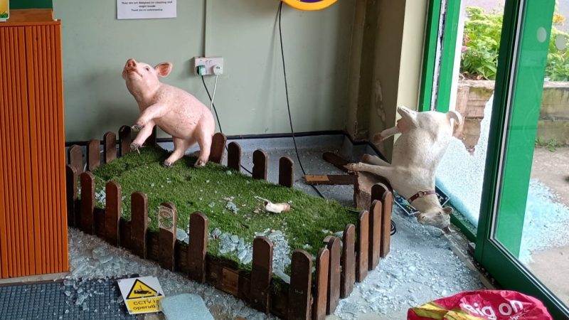 Donation box stolen at city farm
