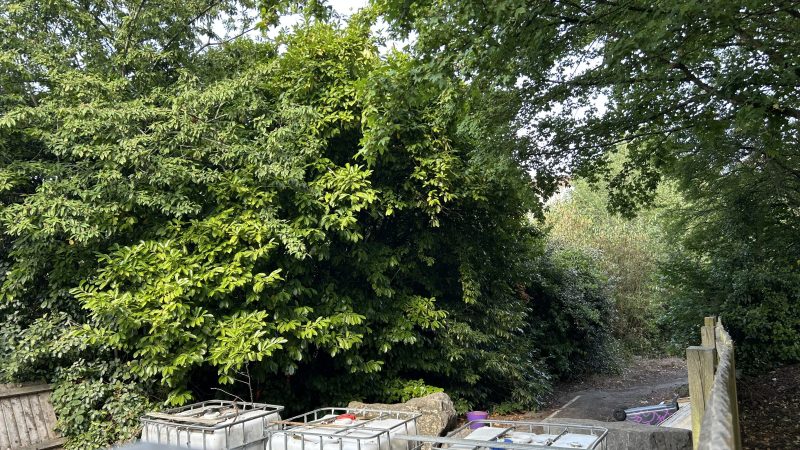 Caravan site safer than cycle path