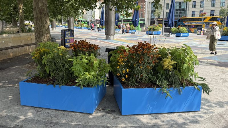 New planters with Ghanaian symbols added to Centre