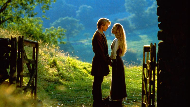 Bristol Film Festival launches outdoor screenings at Arnos Vale Cemetery