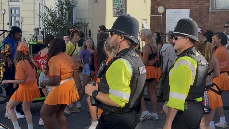 Grievous bodily harm suspects amid seven arrested at unofficial St Paul’s Carnival
