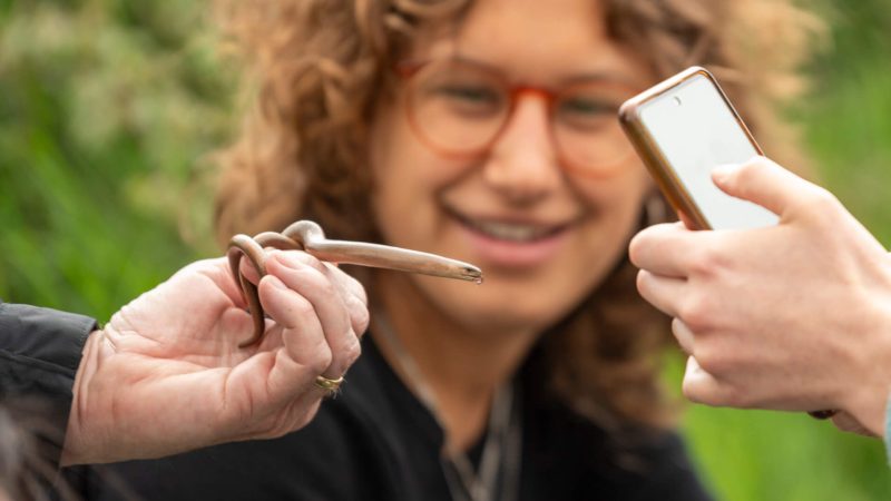 Belmont Estate welcomes over 16,000 to nature connection programme